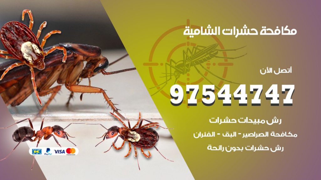 مكافحة حشرات الشامية