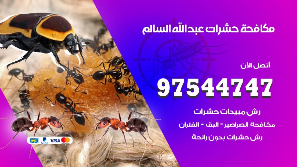 مكافحة حشرات عبد الله السالم
